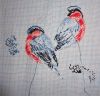 Bullfinches2.JPG.1dd3fe7e2cb8ca9cba3d0efeff05df4d.thumb.jpg.1c29856750d5bdbd5410127df96c15f2.jpg