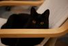 DSC02477-3.thumb.jpg.cbfb01a49055e6a8b67c07ed696ab424.jpg