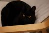 DSC02479-4.jpg