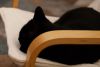 DSC02492-7.jpg