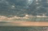 DSC02580-2.thumb.jpg.82f66167c07e9346ef4d861dbdfabaca.jpg