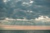 DSC02603-6.thumb.jpg.e7ea6766c83aacc8bebb4574a8046b84.jpg