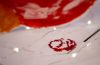 DSC02672.thumb.jpg.8c85dffeae4cd39594eb85688f15b73b.jpg