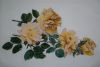 DSC09806.thumb.JPG.ba53faed60af20fda1211e8c3534158f.JPG