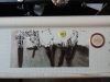 DSCN4963.thumb.JPG.092fda4c59e10297d459d0482ec0b483.JPG