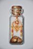 DSC_1133.thumb.JPG.00b777db74e0b1bbac53d420555b1ed3.JPG