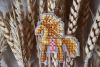 DSC_1172.thumb.JPG.e5a50c3759ea05a56f66a45435bd9270.JPG