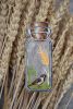 DSC_2382.thumb.JPG.1498bbfaba59fd95508e9842a4469aef.JPG