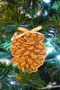 DSC_4569.thumb.JPG.9a094687ad23f7cb6118b71322477112.JPG