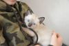DSC_4594.thumb.JPG.848a2ab9e34cff1a3b4cbd00f7a26991.JPG