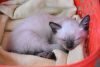 DSC_4595.thumb.JPG.3227773f95b7286c0227bb95654da2d8.JPG