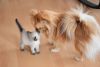 DSC_4634.thumb.JPG.133a18a7577821ed741b2d26295a9a3e.JPG