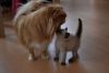 DSC_4643.thumb.JPG.389e8b90243af2c7a128c209a0dd5751.JPG