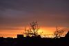 DSC_4684.thumb.JPG.0f74035e2e70c8b22fcd12e168bc7fc2.JPG