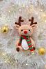 DSC_4724.thumb.JPG.7c0283bc3373741d287221f7fba01e84.JPG