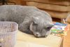 DSC_4759.thumb.JPG.a94aac743317e2c32d922a32e7d4a571.JPG
