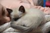 DSC_4762.thumb.JPG.093b849218e50d99c15933ee23a6c016.JPG