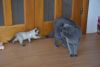 DSC_4787.thumb.JPG.535b3f7970904e5ba9a018aaaf5d99fa.JPG