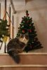 DSC_4807.thumb.JPG.cd84fcba03ff924954664c5db741702b.JPG