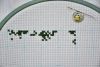 DSC_4865.thumb.JPG.5cc56b080b56ab0463b1c88aee5e0bbf.JPG