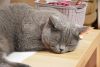 DSC_4871.thumb.JPG.2eda1bb1f5f82ae5c76f3eab6579b91c.JPG