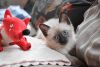 DSC_4891.thumb.JPG.c2951da369c5b2eb774311665943c25f.JPG