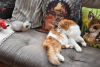 DSC_4892.thumb.JPG.f2e5ef291829c0541c912f53d601b7e6.JPG