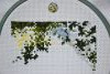 DSC_4894.thumb.JPG.e2571561e0d656aef42bf9b495b2388f.JPG?1641750017176