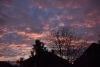 DSC_4926.thumb.JPG.3126dc474181b197aa7c05eb97d79672.JPG