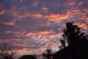 DSC_4929.thumb.JPG.33363e2de3a6feeac9b123bf4b9209a3.JPG