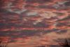DSC_4935.thumb.JPG.57b00b6c39f61f2a6da825417f0a61ac.JPG
