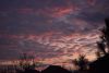 DSC_4939.thumb.JPG.05b0b174dc0ef57f34930558d9aad2b4.JPG