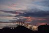 DSC_4951.thumb.JPG.2c26a8c74b2018b3552ce99620e3fd7d.JPG