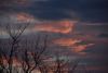 DSC_4953.thumb.JPG.94f27f7b47fbd7431c8eeb928e06e1a8.JPG