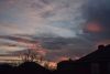 DSC_4956.thumb.JPG.eba342dc6559e47b6d960a4901040b21.JPG