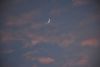 DSC_4959.thumb.JPG.737fbabfcd7ca56da03332555bf31795.JPG