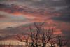 DSC_4961.thumb.JPG.c3e40af39bc3a1ba7dc350071891e405.JPG