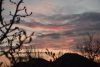 DSC_4965.thumb.JPG.ecefffe2a93d81d13435b8427ad0d1cc.JPG