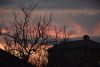 DSC_4967.thumb.JPG.715e5f5878eb86fd2555cb276134b0e0.JPG