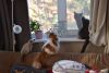 DSC_4977.thumb.JPG.a04c5c831e272cd5c76f4c6407d71038.JPG