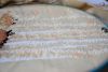 DSC_4991.thumb.JPG.7688e2d621fcc40baad8e9a9771ea852.JPG