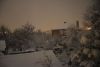 DSC_4999.thumb.JPG.53af6398fb2cb1d8e8b43a773a283c1d.JPG