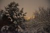 DSC_5013.thumb.JPG.a4eb0f1d21b24179c1b00b20cfb97c81.JPG
