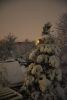 DSC_5014.thumb.JPG.c19ad2989d756fe2e166ca4309764110.JPG
