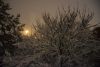 DSC_5015.thumb.JPG.8c6fa9df1a93a6d1d1a82b042a9a2121.JPG
