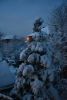 DSC_5017.thumb.JPG.e661013aa2ed2e54f8314da890e2ff41.JPG