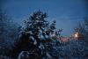DSC_5018.thumb.JPG.3e022b15fcfab2c344c1e969a8d7c31b.JPG