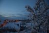 DSC_5027.thumb.JPG.e829a536e6e09c2f1cb47c0b88abb44d.JPG