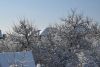 DSC_5039.thumb.JPG.3356a56e3d85daeeb31edb0c584cdca2.JPG