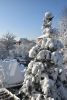 DSC_5040.thumb.JPG.7665324c6e4a467047967cef7a316d47.JPG